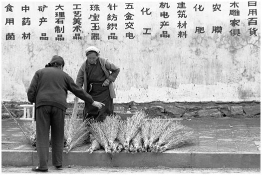 Dali, China