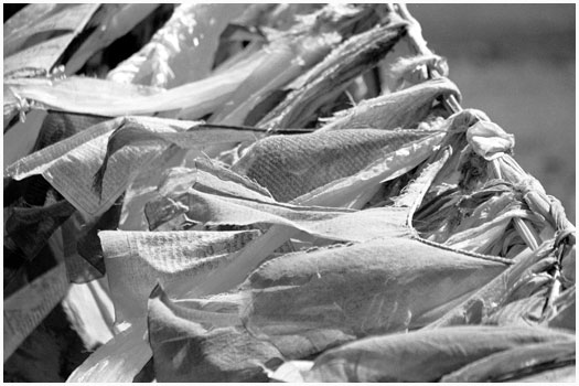 Prayer flags, Tibet