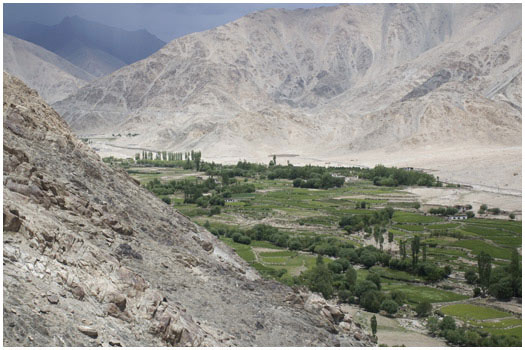 Leh, Ladakh India