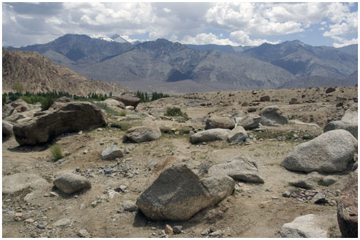 Near Phyang Monastery, Ladakh India