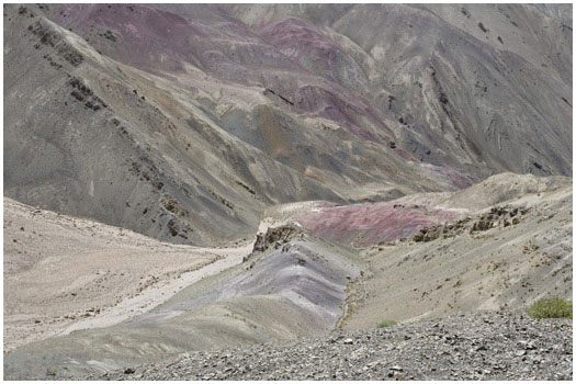 Landscape, Ladakh India