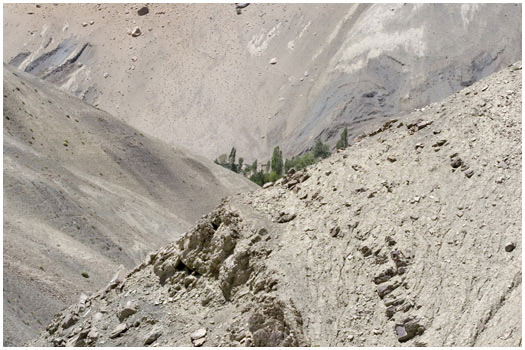 Landscape, Ladakh India