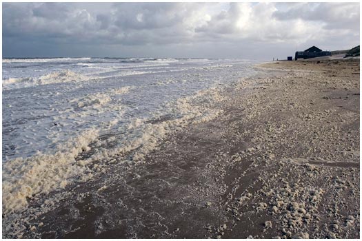 Autumn Storm Vlieland, Holland