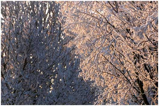 Winter Elst, Holland