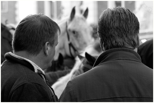 Horse Market Elst, Holland