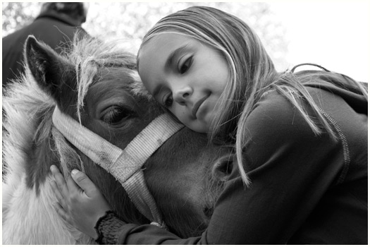 Horse Market Elst, Holland