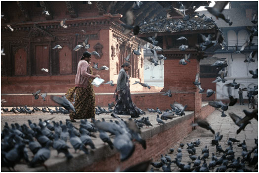 Boudnath Temple kathmandu, Nepal