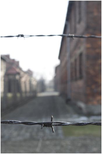 Fence in Auschwitz I, Auschwitz-Birkenau, Poland