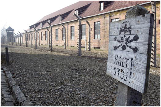 Fence in Auschwitz I, Auschwitz-Birkenau, Poland