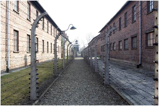 Fences Auschwitz I, Auschwitz-Birkenau, Poland